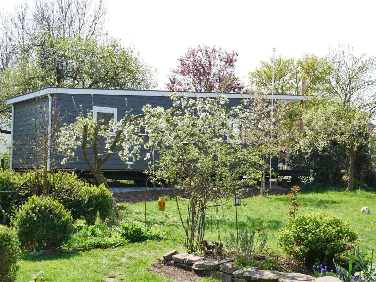 Tiny Ferienhaus Kelze Hofgeismar Exterior photo